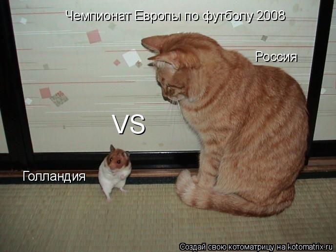 Чемпионат Европы по футболу 2008 Голландия VS Россия... Котоматрица: Чемпионат Европы по футболу 2008 Голландия VS Россия
