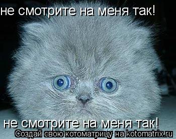 не смотрите на меня так! не смотрите на меня так!... Котоматрица: не смотрите на меня так! не смотрите на меня так!