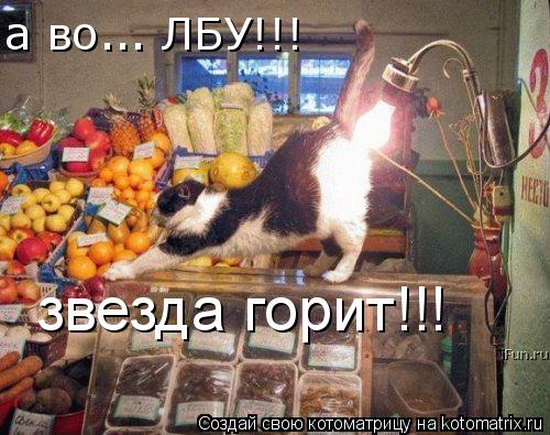 а во... ЛБУ!!! звезда горит!!!... Котоматрица: а во... ЛБУ!!! звезда горит!!!