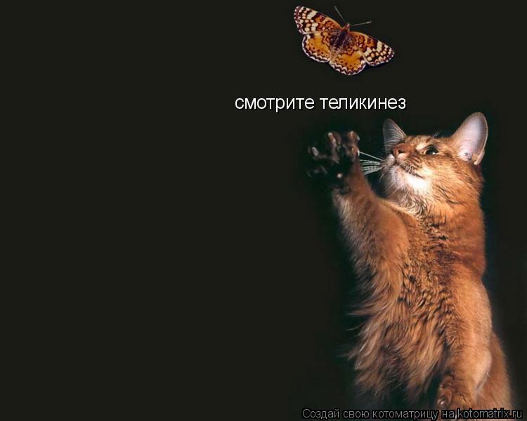 смотрите теликинез... Котоматрица: смотрите теликинез