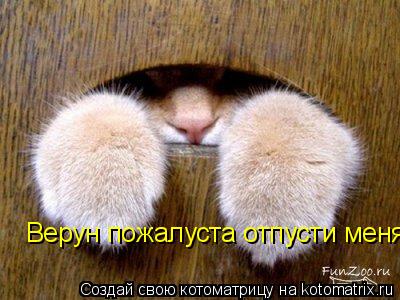 Верун пожалуста отпусти меня я больше не буду пить... Котоматрица: Верун пожалуста отпусти меня я больше не буду пить