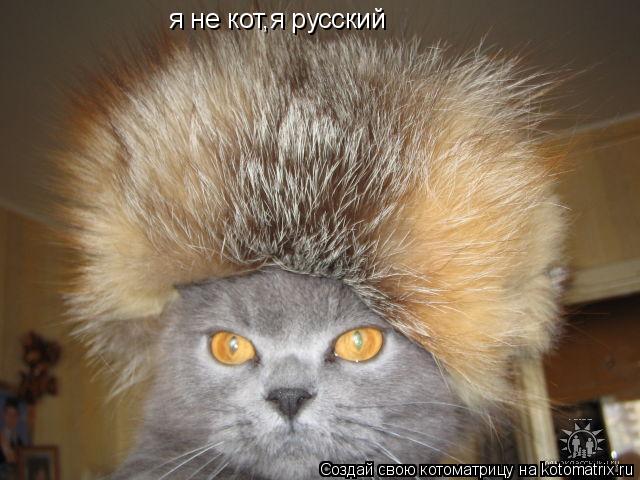 я не кот,я русский... Котоматрица: я не кот,я русский