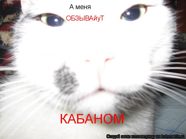 А меня ОБЗЫВАйуТ ОБЗЫВАйуТ КАБАНОМ КАБАНОМ... Котоматрица: А меня ОБЗЫВАйуТ ОБЗЫВАйуТ КАБАНОМ КАБАНОМ