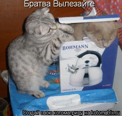 Братва Вылезайте... Котоматрица: Братва Вылезайте
