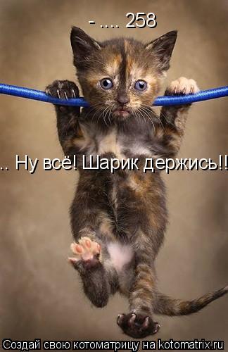 - .... 258 .. Ну всё! Шарик держись!!!... Котоматрица: - .... 258 .. Ну всё! Шарик держись!!!
