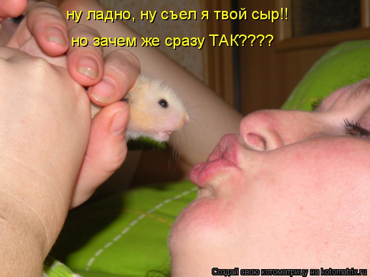 ну ладно, ну съел я твой сыр!! но зачем же сразу ТАК????... Котоматрица: ну ладно, ну съел я твой сыр!! но зачем же сразу ТАК????
