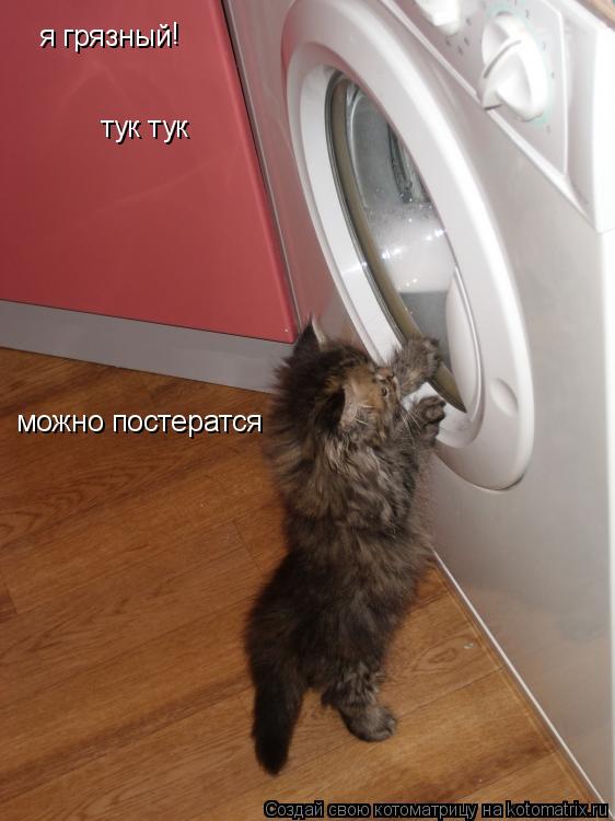 я грязный тук тук ! можно постератся... Котоматрица: я грязный тук тук ! можно постератся