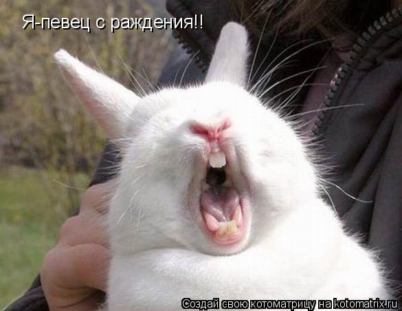 Я-певец с раждения!!... Котоматрица: Я-певец с раждения!!