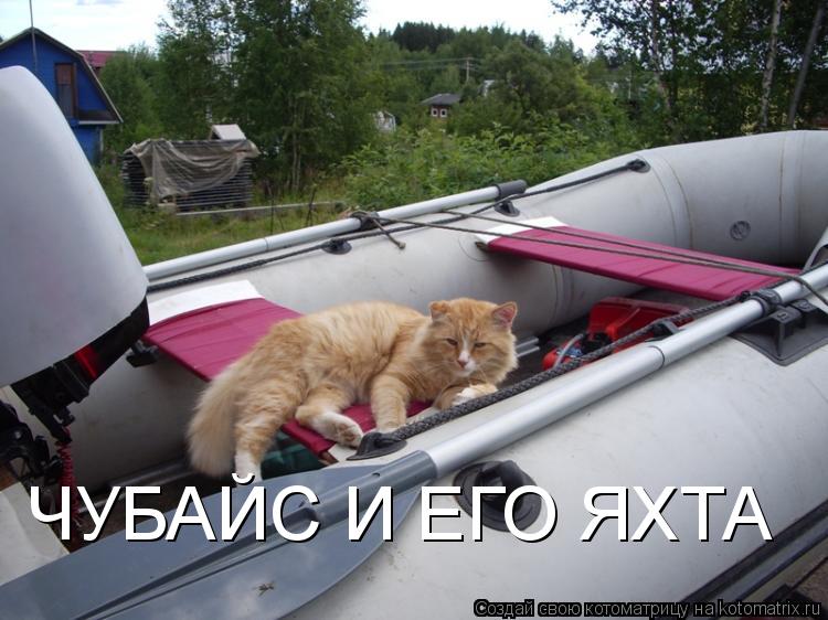 ЧУБАЙС И ЕГО ЯХТА... Котоматрица: ЧУБАЙС И ЕГО ЯХТА
