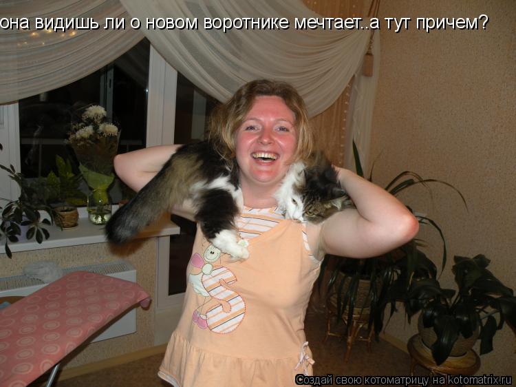 она видишь ли о новом воротнике мечтает..а тут причем?... Котоматрица: она видишь ли о новом воротнике мечтает..а тут причем?