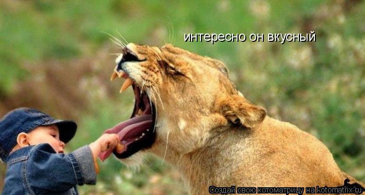 интересно он вкусный... Котоматрица: интересно он вкусный