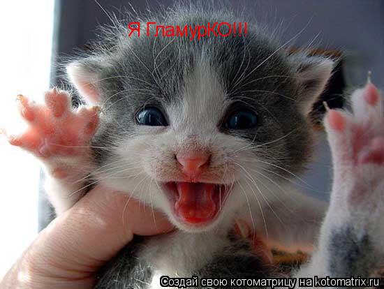 Я ГламурКО!!!... Котоматрица: Я ГламурКО!!!