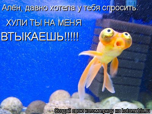 Алён, давно хотела у тебя спросить ХУЛИ ТЫ НА МЕНЯ ВТЫКАЕШЬ!!!!! ВТЫКАЕШЬ!!!!! :... Котоматрица: Алён, давно хотела у тебя спросить ХУЛИ ТЫ НА МЕНЯ ВТЫКАЕШЬ!!!!! ВТЫКАЕШЬ!!!!! :