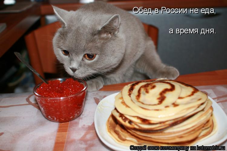 Обед в России не еда, а время дня.... Котоматрица: Обед в России не еда, а время дня.