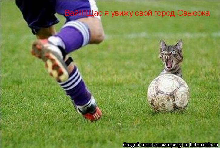 Вай!!!Щас я увижу свой город Свысока... Котоматрица: Вай!!!Щас я увижу свой город Свысока