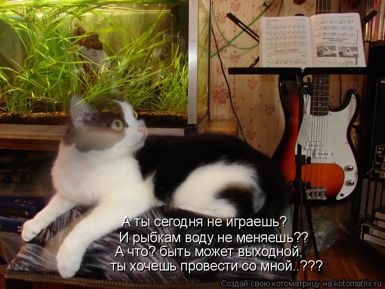 А ты сегодня не играешь? И рыбкам воду не меняешь?? А что? быть может выходной, ты хочешь провести со... Котоматрица: А ты сегодня не играешь? И рыбкам воду не меняешь?? А что? быть может выходной, ты хочешь провести со мной..???