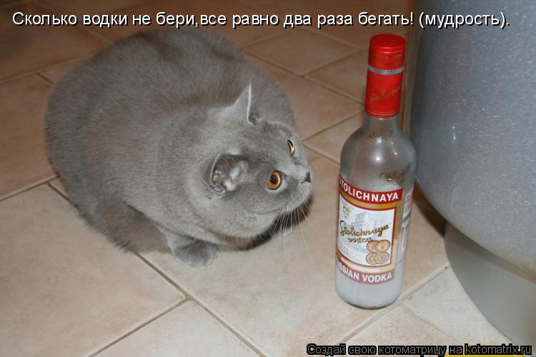 Q.jpg