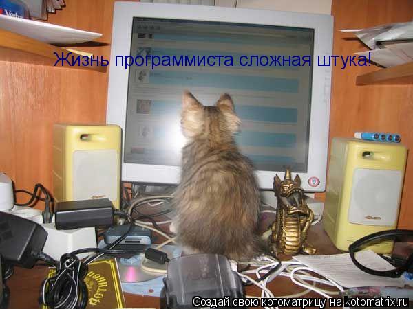 Жизнь программиста сложная штука!... Котоматрица: Жизнь программиста сложная штука!