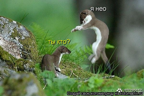 ты кто? я нео... Котоматрица: ты кто? я нео