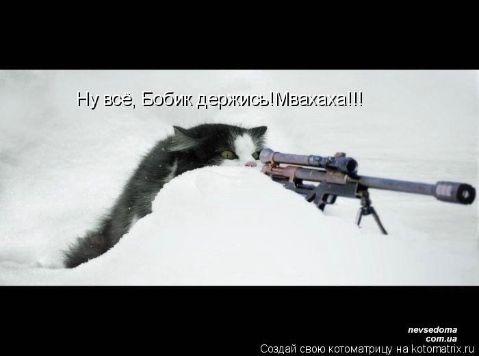 Ну всё, Бобик держись!Мвахаха!!!... Котоматрица: Ну всё, Бобик держись!Мвахаха!!!