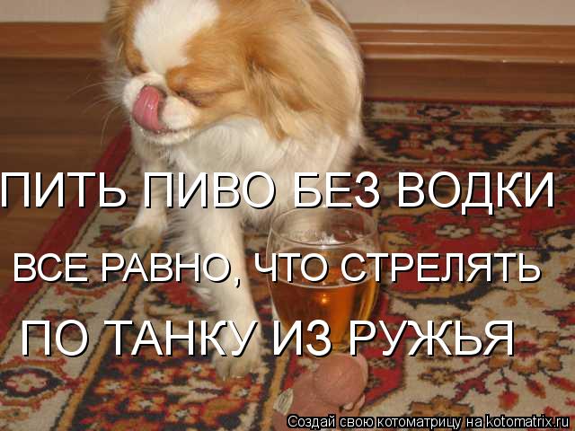 ПИТЬ ПИВО БЕЗ ВОДКИ ВСЕ РАВНО, ЧТО СТРЕЛЯТЬ ПО ТАНКУ ИЗ РУЖЬЯ... Котоматрица: ПИТЬ ПИВО БЕЗ ВОДКИ ВСЕ РАВНО, ЧТО СТРЕЛЯТЬ ПО ТАНКУ ИЗ РУЖЬЯ