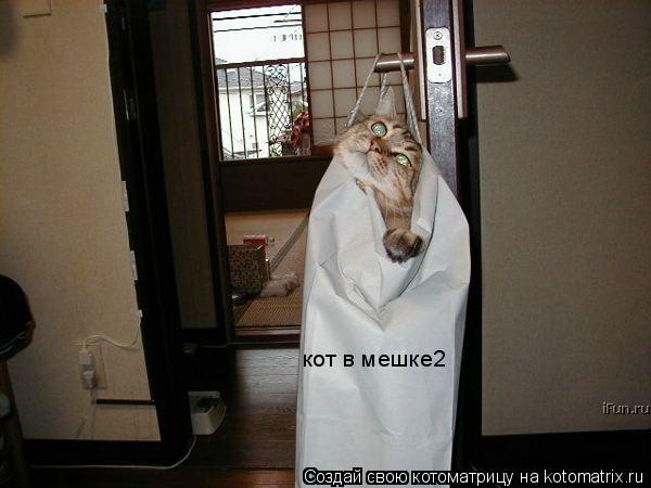 кот в мешке2... Котоматрица: кот в мешке2