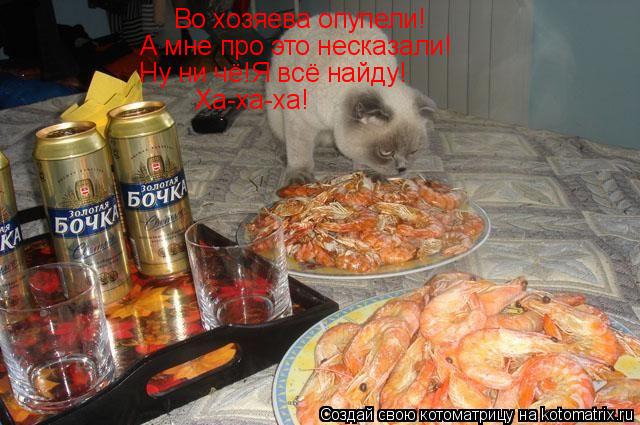 Во хозяева опупели! А мне про это несказали! Ну ни чё!Я всё найду! Ха-ха-ха!... Котоматрица: Во хозяева опупели! А мне про это несказали! Ну ни чё!Я всё найду! Ха-ха-ха!