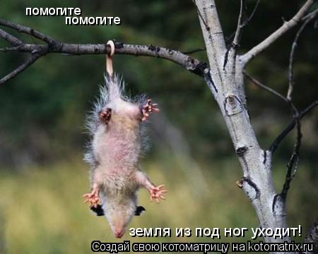 помогите помогите земля из под ног уходит!... Котоматрица: помогите помогите земля из под ног уходит!