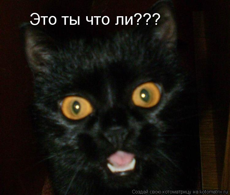 Это ты что ли???... Котоматрица: Это ты что ли???