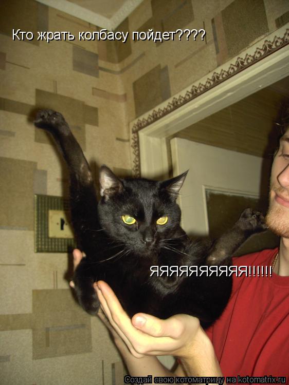 Кто жрать колбасу пойдет???? ЯЯЯЯЯЯЯЯЯЯ!!!!!!... Котоматрица: Кто жрать колбасу пойдет???? ЯЯЯЯЯЯЯЯЯЯ!!!!!!
