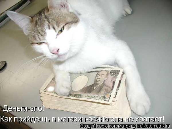 -Деньги-зло! Как прийдешь в магазин-вечно зла не хватает!... Котоматрица: -Деньги-зло! Как прийдешь в магазин-вечно зла не хватает!
