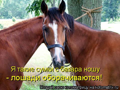 Я такие сумки с базара ношу - лошади оборачиваются!... Котоматрица: Я такие сумки с базара ношу - лошади оборачиваются!