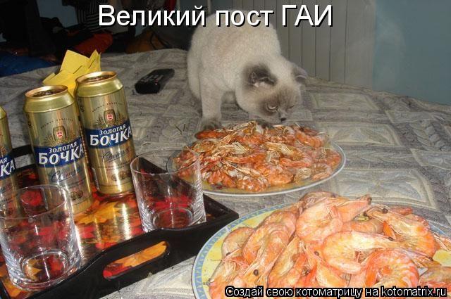 Великий пост ГАИ... Котоматрица: Великий пост ГАИ