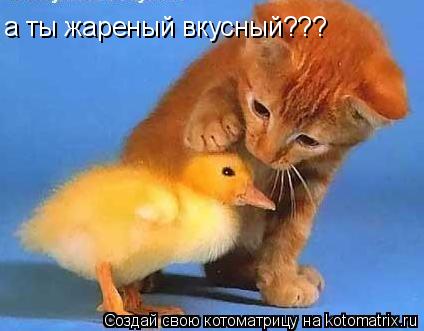 а ты жареный вкусный???... Котоматрица: а ты жареный вкусный???