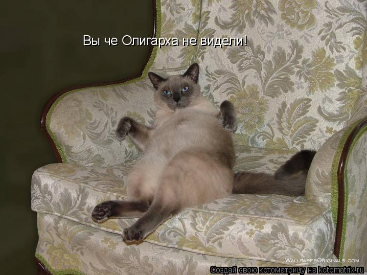 Вы че Олигарха не видели!... Котоматрица: Вы че Олигарха не видели!