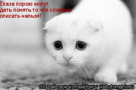 Глаза порою могут дать понять то что словами описать нельзя!... Котоматрица: Глаза порою могут дать понять то что словами описать нельзя!