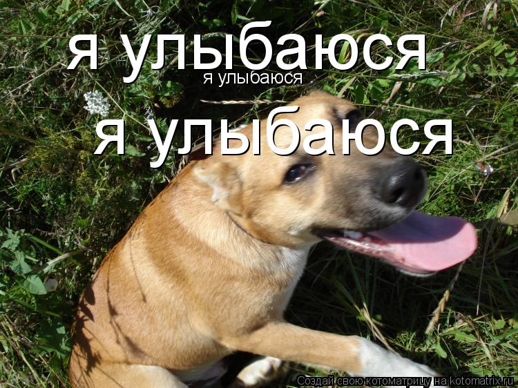 я улыбаюся я улыбаюся я улыбаюся... Котоматрица: я улыбаюся я улыбаюся я улыбаюся