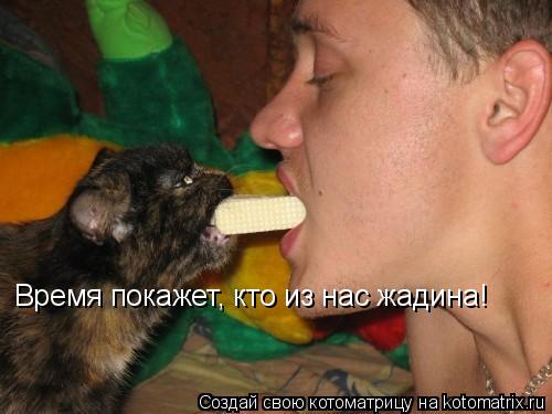Время покажет, кто из нас жадина!... Котоматрица: Время покажет, кто из нас жадина!