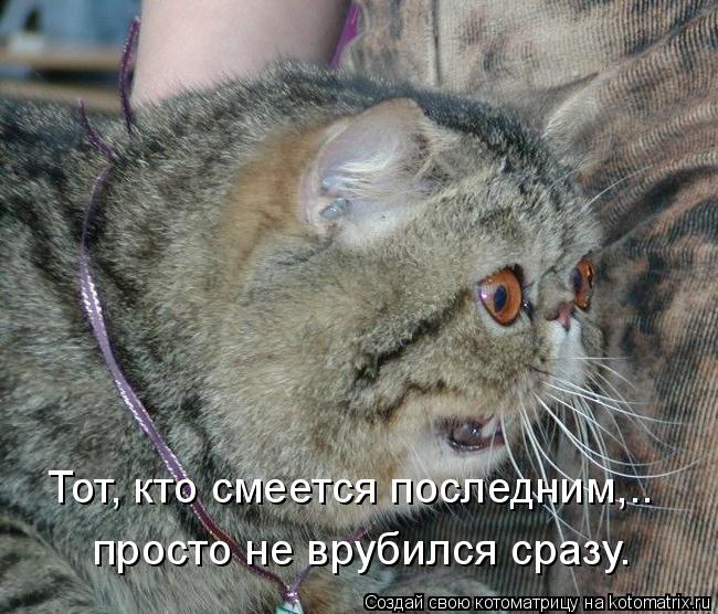 Котоматрица: Тот, кто смеется последним,..  просто не врубился сразу.