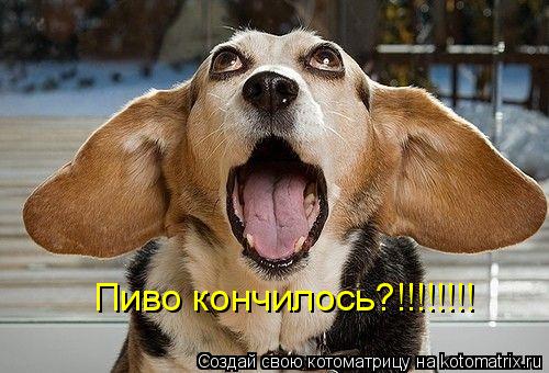 Котоматрица: Пиво кончилось?!!!!!!!!