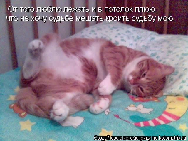От того люблю лежать и в потолок плюю, что не хочу судьбе мешать кроить судьбу мою.... Котоматрица: От того люблю лежать и в потолок плюю, что не хочу судьбе мешать кроить судьбу мою.