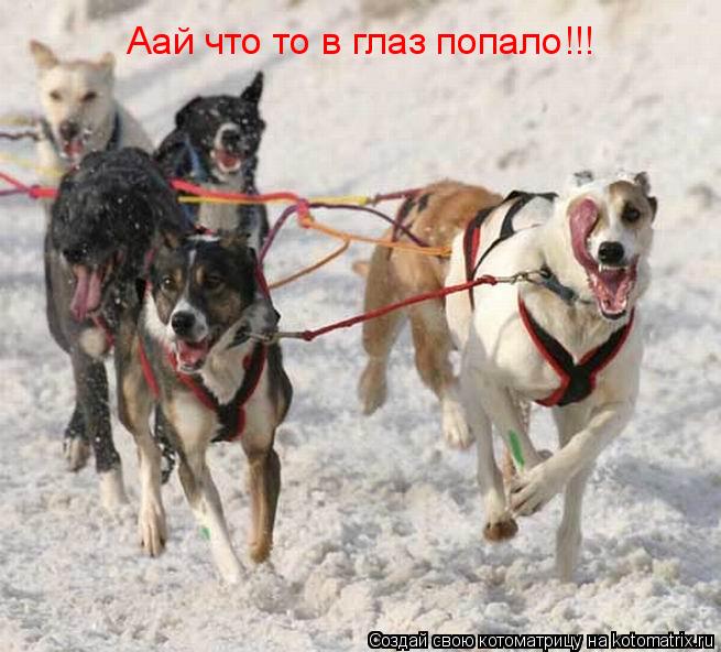 Аай что то в глаз попало!!!... Котоматрица: Аай что то в глаз попало!!!