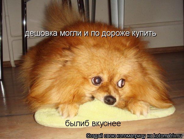 дешовка могли и по дороже купить былиб вкуснее... Котоматрица: дешовка могли и по дороже купить былиб вкуснее