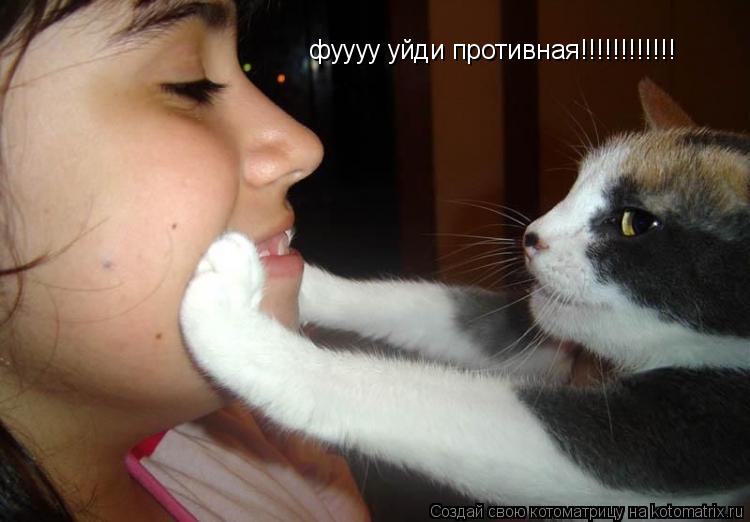фуууу уйди противная!!!!!!!!!!!!... Котоматрица: фуууу уйди противная!!!!!!!!!!!!