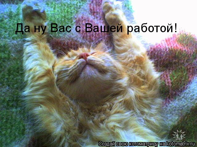 Да ну Вас с Вашей работой!... Котоматрица: Да ну Вас с Вашей работой!