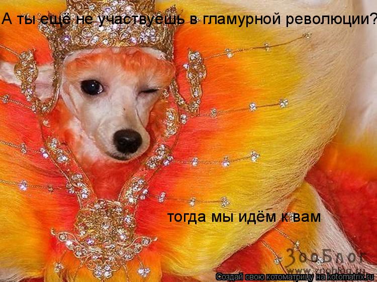 А ты ещё не участвуешь в гламурной революции? тогда мы идём к вам... Котоматрица: А ты ещё не участвуешь в гламурной революции? тогда мы идём к вам