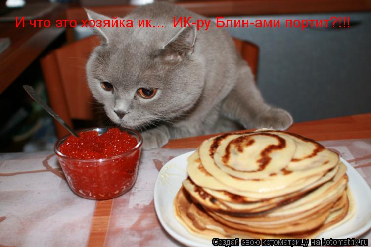 И что это хозяйка ик... ИК-ру Блин-ами портит?!!!... Котоматрица: И что это хозяйка ик... ИК-ру Блин-ами портит?!!!