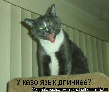 У каво язык длиннее?... Котоматрица: У каво язык длиннее?