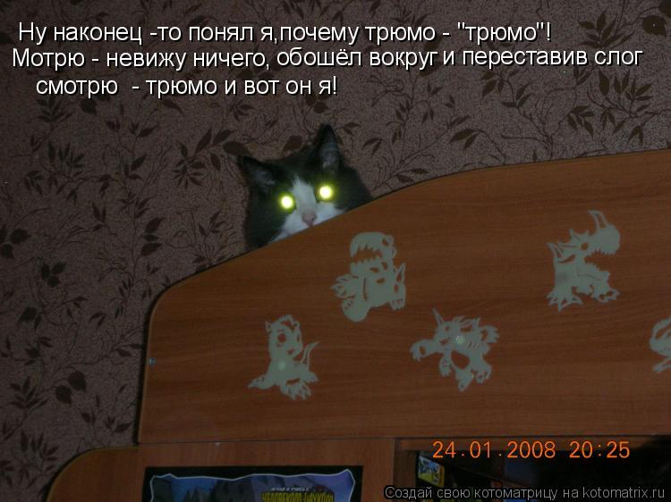 Ну наконец -то понял я,почему трюмо - "трюмо"! Мотрю - невижу ничего, обошёл вокруг и переставив слог... Котоматрица: Ну наконец -то понял я,почему трюмо - "трюмо"! Мотрю - невижу ничего, обошёл вокруг и переставив слог смотрю - трюмо и вот он я!