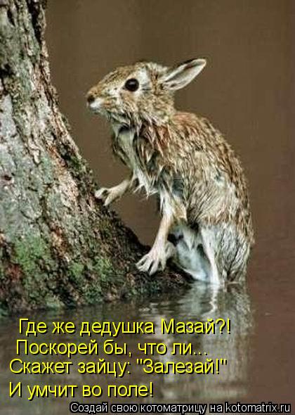 Где же дедушка Мазай?! Поскорей бы, что ли... Скажет зайцу: "Залезай!" И умчит во поле!... Котоматрица: Где же дедушка Мазай?! Поскорей бы, что ли... Скажет зайцу: "Залезай!" И умчит во поле!